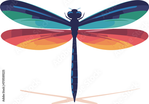 dragonfly on white background