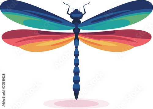 dragonfly on a white background