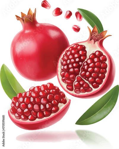 fruit