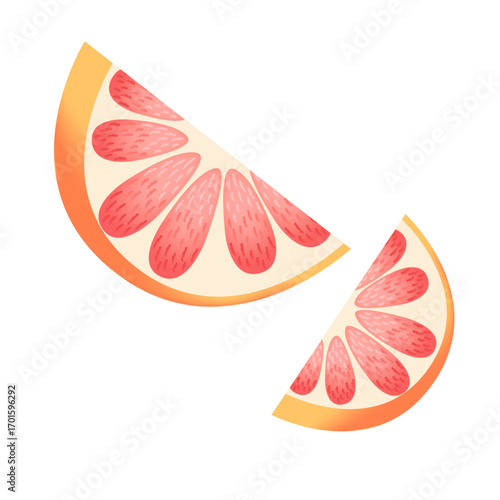 Slice Orange Fruit Illustration with Gradient Mesh Style