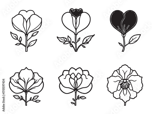 Bleeding Heart petals dance in sunlight