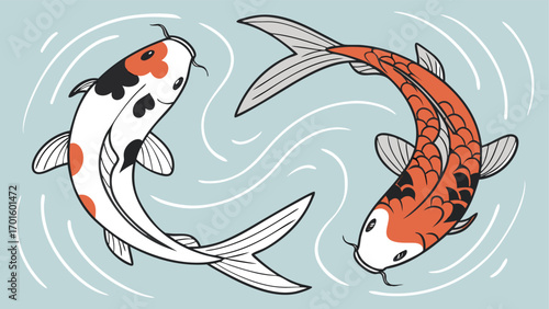 Two colorful koi fish swimming in a yin and yang formation, symbolizing balance and harmony in japanese culture, set against a serene blue water background