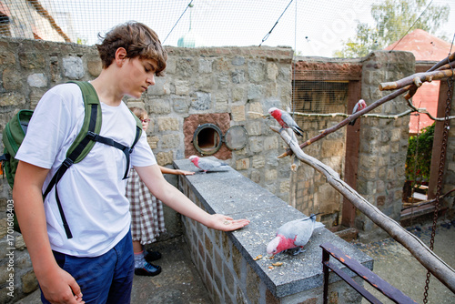 Bilde på lerret Excited teenager boy and little school gril feeding colorful parrot birds at zoo or aviary