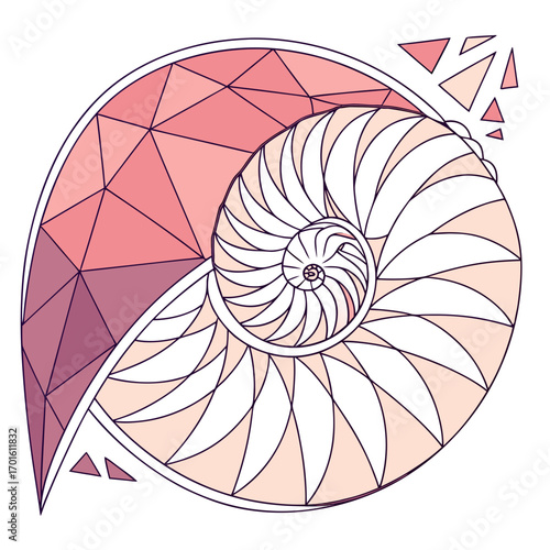 Geometric nautilus shell with triangles around it