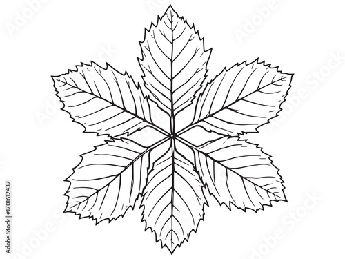 Chestnut Leaf Autumn Season Botanical Drawing