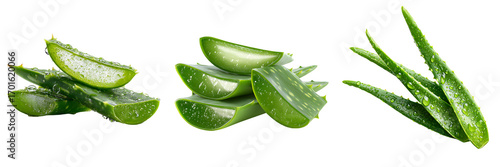Set of Fresh Aloe Vera Stalks and Slices with Water Droplets, isolated on a transparent background.