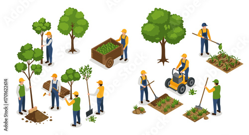 Urban gardening team engaged in tree planting and crop maintenance in isometric style