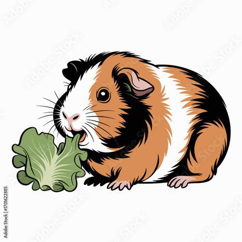 Cute Cartoon Guinea Pig Eating Lettuce