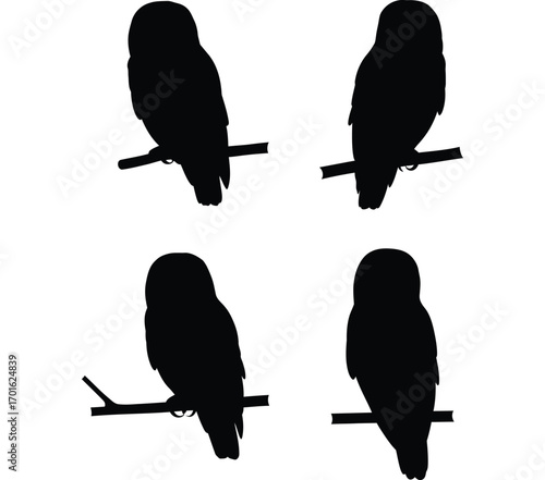 Four silhouettes of owls perched on branches against a white background representing nighttime wildlife and nocturnal birds