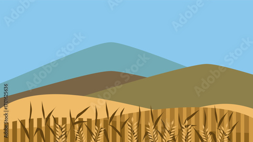 Wheat field flat illustration