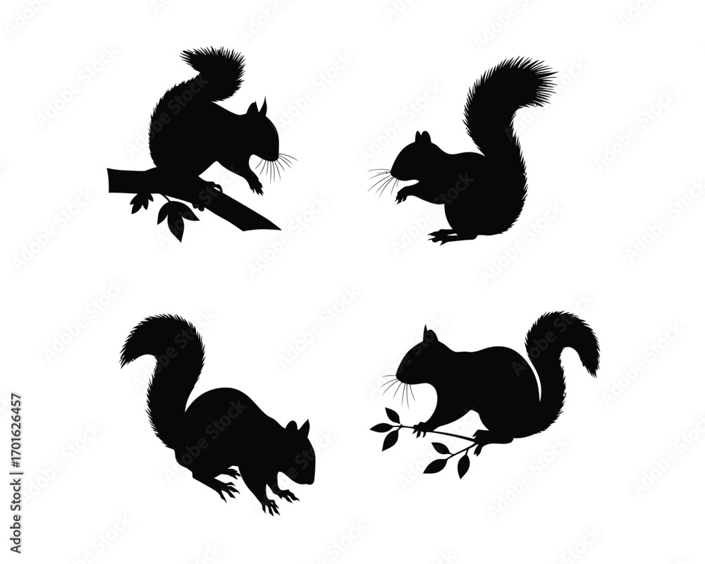 Obraz premium Four distinct black silhouette illustrations of squirrels in various natural poses on a clean white background