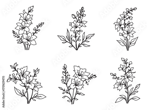 Delphinium vibrant colors decorating summer landscape