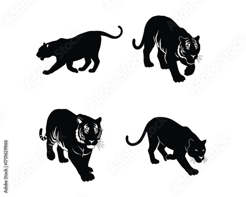 Set of four black silhouette illustrations of powerful big cats including panthers and tigers in dynamic walking poses on a white background