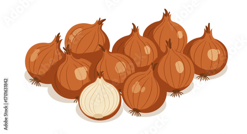 Fresh whole and sliced brown onions on white background with shadows
