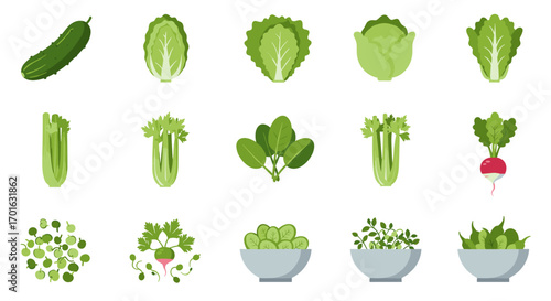 Fresh green vegetables assortment: cucumber, lettuce, celery, spinach, radish, peas, herbs, and salad bowls