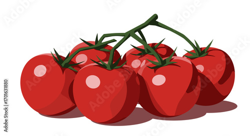 Fresh ripe tomatoes on the vine with shadow in a crisp flat design