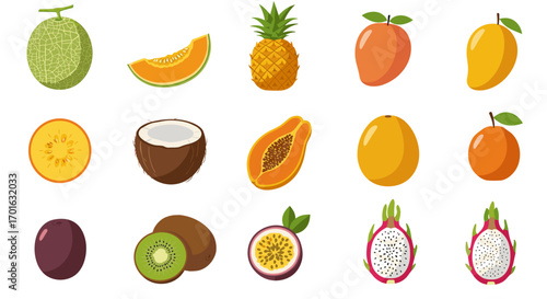 Tropical fruits collection with melon, pineapple, mango, and more in flat style