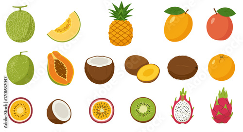 Colorful collection of tropical fruits in flat design style