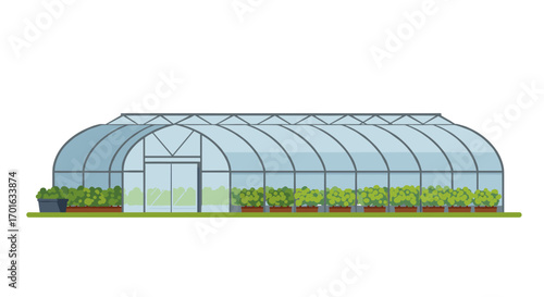 Modern greenhouse with glass structure and plants on white background