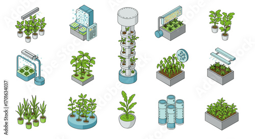 Innovative techniques in modern isometric urban gardening and hydroponics