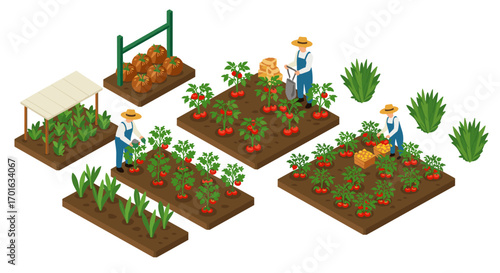Isometric farming scene with farmers tending vegetables and harvesting crops
