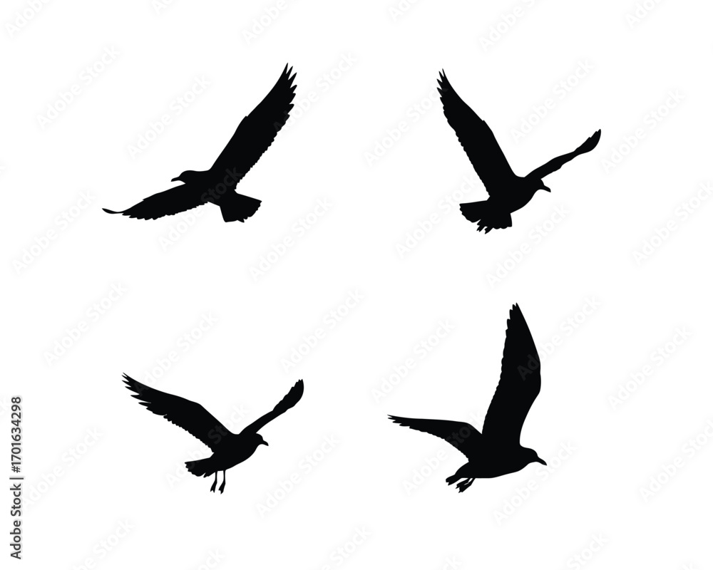 Obraz premium Four silhouettes of seagulls in flight against a white background showcasing different wing positions and dynamic movement