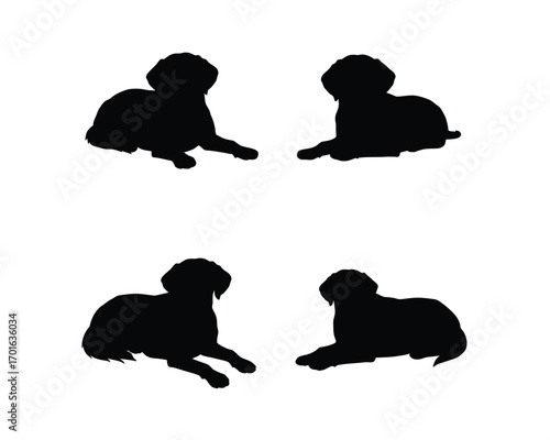 Four silhouettes of dogs in different poses lying down on a white background representing various breeds and companionship