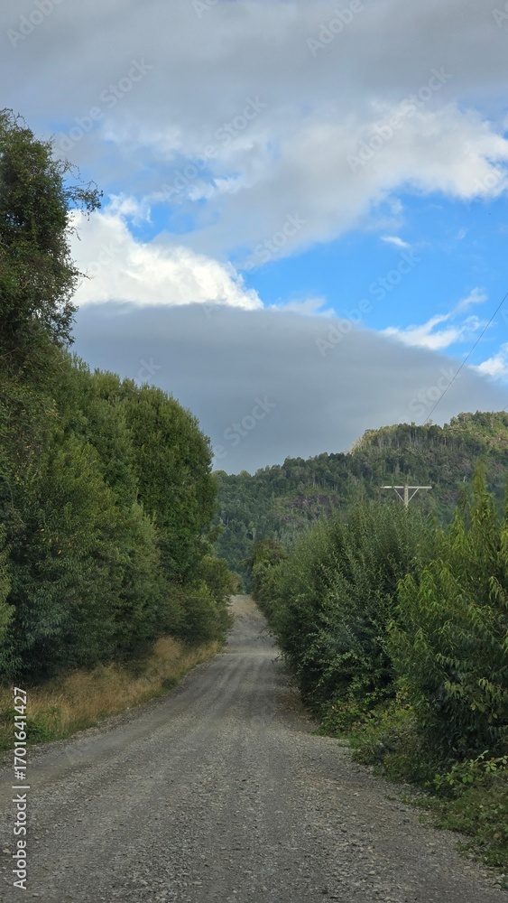 Fototapeta premium Scenic view of mountains near Lago Ranco in southern Chile, with natural beauty, forests, and peaceful landscapes under a clear sky.