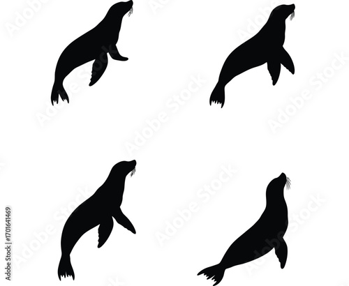 Four distinct black silhouette illustrations of sea lions in various dynamic poses on a clean white background
