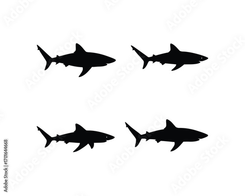 Four distinct black silhouette illustrations of sharks swimming in different dynamic underwater poses against a white background