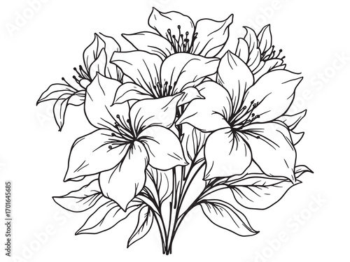 Gardenia fragrance fills peaceful summer air