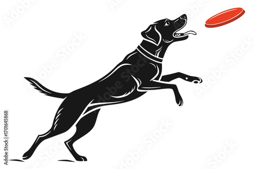 Black Labrador Dog Leaping for Red Frisbee.