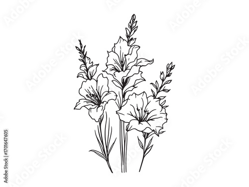 Gladiolus flowers standing tall with grace
