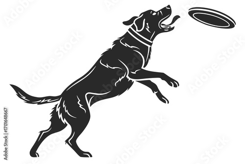 Energetic Dog Leaping to Catch Flying Disc 1.