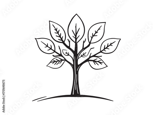 Growth and success require patience and focus