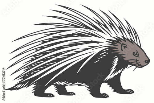 Stylized Porcupine Illustration With Sharp Quills.