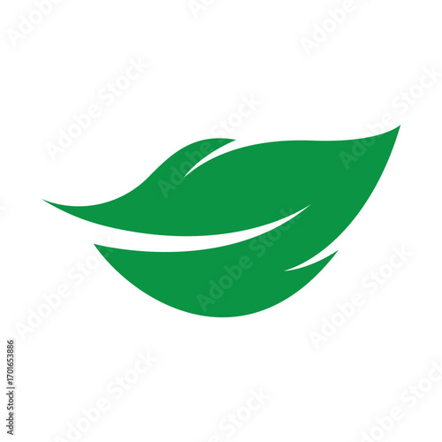 fresh leaf logo design for natural life