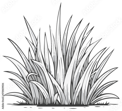 Illustration of a clump of grass with artistic black outlines and gray shading