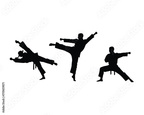 Dynamic silhouettes of martial artists performing powerful kicks and stances in a combat training session