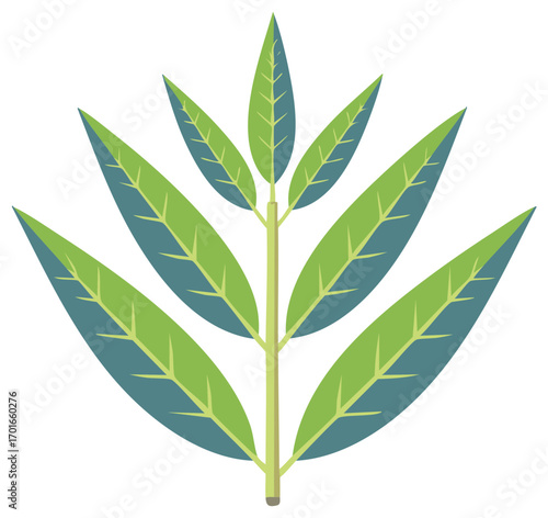 Green and blue leaves of stylized plant with stem vector illustration