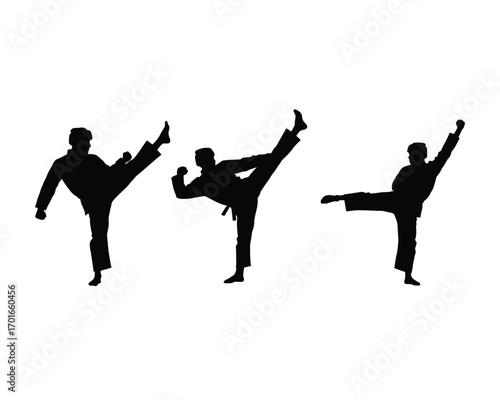 Dynamic silhouettes of martial artists performing high kicks in karate uniforms against a white background