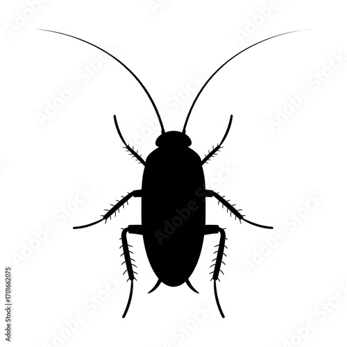 Cockroach svg cut file. Isolated vector illustration.