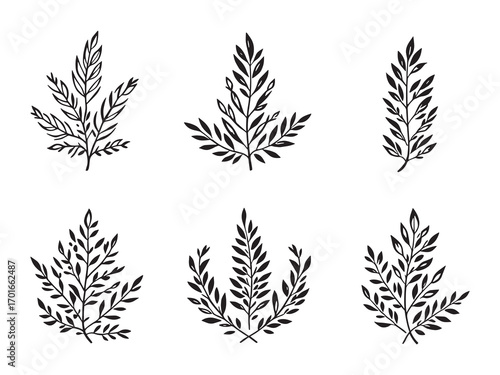 Laurel Leaf Inspires Nature Inspired Designs