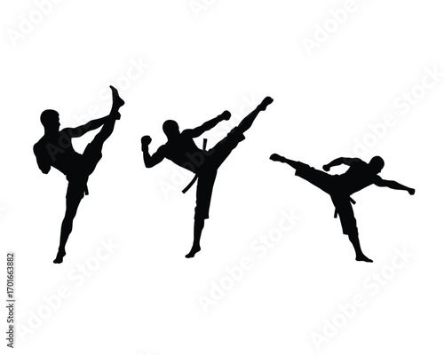 Dynamic silhouettes of martial artists performing high kicks in action poses against a white background