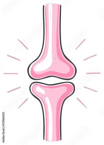 Joint illustration in pink tones, depicting bone structure for anatomy and health concepts, with radiating accent lines