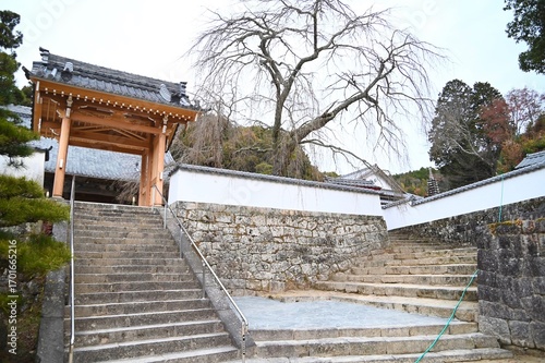 松平郷本松山高月院