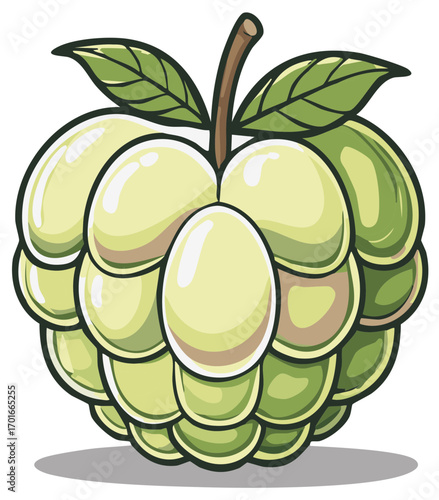 Illustrated Custard Apple with leaves in cartoon style, isolated on white background