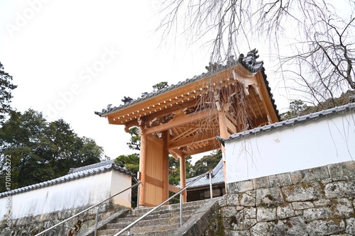 松平郷本松山高月院