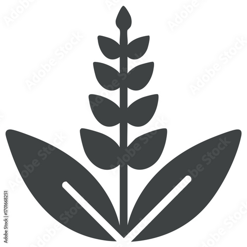 Stylized plant illustration with leaves and a central stem in a minimalist design.