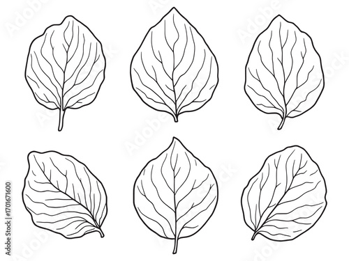 Magnolia Leaf Green Organic Decorative Design